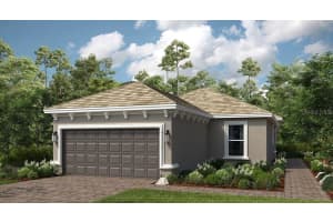 29548 Zupetta Ln, WESLEY CHAPEL