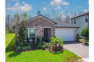 21577 VIOLET PERIWINKLE DRIVE, LAND O LAKES, FL 34637 Sold 06/09/25