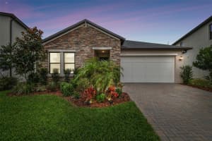 21577 VIOLET PERIWINKLE DRIVE, LAND O LAKES, FL 34637 Sold 06/09/25