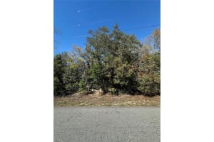 3069 AMHERST AVENUE, SPRING HILL, FL 34609 - MLS#MFRTB8360982