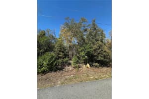 3069 AMHERST AVENUE, SPRING HILL, FL 34609 - MLS#MFRTB8360982