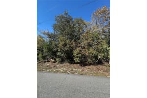 3069 AMHERST AVENUE, SPRING HILL, FL 34609 - MLS#MFRTB8360982