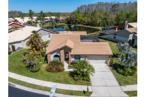 3639 Darston St, PALM HARBOR