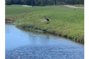 5700 ESCONDIDA BOULEVARD, ST PETERSBURG, FL 33715 - MLS#MFRTB8361132