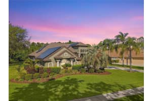 5384 MIRA VISTA DRIVE, PALM HARBOR, FL 34685 Sold 07/25/25