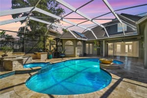 5384 MIRA VISTA DRIVE, PALM HARBOR, FL 34685 Sold 07/25/25