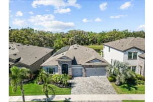 13227 WILDFLOWER MEADOW DRIVE, RIVERVIEW, FL 33579 Sold 04/21/25