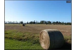 SPIRIT HILLS, DADE CITY, FL 33523 Sold 03/19/26