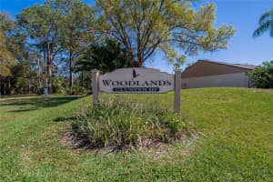 370 WOODLANDS DRIVE, OLDSMAR, FL 34677 - MLS#MFRTB8361268