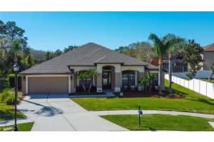 14813 PRINCEWOOD LANE, LAND O LAKES, FL 34638 Sold 05/19/25