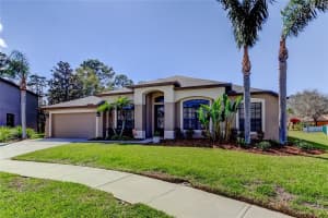 14813 PRINCEWOOD LANE, LAND O LAKES, FL 34638 Sold 05/19/25
