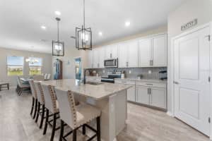 34311 Evergreen Hill Ct Wesley Chapel, FL 33545 - Off Market