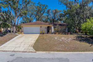 8740 FOREST LAKE DRIVE, PORT RICHEY, FL 34668 Sold 08/04/25