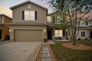 12017 CITRUS LEAF DRIVE, GIBSONTON, FL 33534 Sold 06/06/25