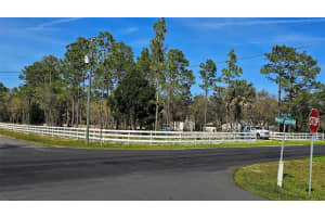 10379 THRASHER AVENUE, WEEKI WACHEE, FL 34614 - MLS#MFRTB8361333