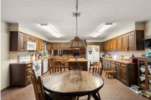 11327 CARTER GROVE LANE, THONOTOSASSA, FL 33592 - MLS#MFRTB8361334