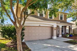 9102 TOLLISON LOOP, LAND O LAKES, FL 34638 Sold 05/12/25