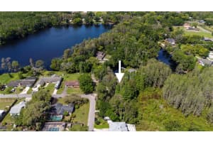 18716 LAKE COMMISTON DRIVE, LUTZ, FL 33549 Sold 04/15/25
