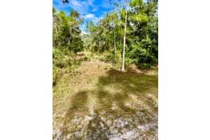 OLEANDER DR, INDIAN LAKE ESTATES, FL 33855 - MLS#MFRTB8361554