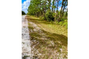 OLEANDER DR, INDIAN LAKE ESTATES, FL 33855 - MLS#MFRTB8361554