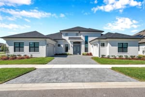 4135 EPIC COVE, LAND O LAKES, FL 34638 Sold 05/01/25