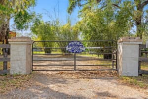 4508 SPRING ROAD, VALRICO, FL 33596 Sold 05/07/25