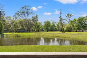 4508 SPRING ROAD, VALRICO, FL 33596 Sold 05/07/25