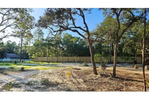 16266 NIGHT HERON ROAD, WEEKI WACHEE, FL 34614 - MLS#MFRTB8361846