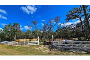16266 NIGHT HERON ROAD, WEEKI WACHEE, FL 34614 - MLS#MFRTB8361846