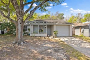 2906 CEDARIDGE DRIVE, TAMPA, FL 33618 Sold 04/14/25