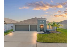 13538 WILLOW BLUESTAR LOOP, RIVERVIEW, FL 33579 Sold 06/23/25