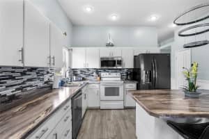 14916 ROCKY LEDGE DRIVE, TAMPA, FL 33625 - MLS#MFRTB8361979