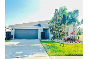 10105 Paradise Fish Dr, RIVERVIEW