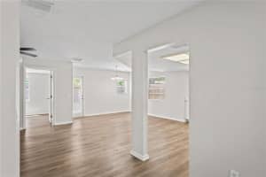 18406 STERLING SILVER CIRCLE, LUTZ, FL 33549 Sold 06/20/25