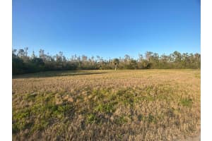 14420 BURBANK PLACE, PLACIDA, FL 33946 - MLS#MFRTB8362063