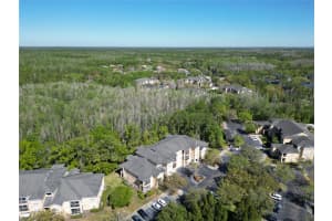 5125 PALM SPRINGS BOULEVARD, TAMPA, FL 33647 Sold 04/24/25