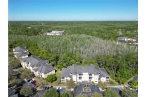 5125 PALM SPRINGS BOULEVARD, TAMPA, FL 33647 Sold 04/24/25