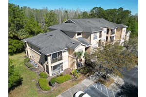 5125 PALM SPRINGS BOULEVARD, TAMPA, FL 33647 Sold 04/24/25