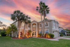 15618 Shoal Creek Pl, ODESSA