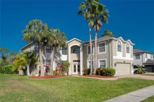 15618 SHOAL CREEK PLACE, ODESSA, FL 33556 - MLS#MFRTB8362095