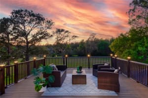 15618 SHOAL CREEK PLACE, ODESSA, FL 33556 - MLS#MFRTB8362095