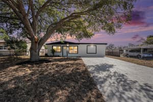 10213 ALTMAN STREET, TAMPA, FL 33612 Sold 06/10/25