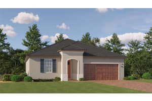 31767 GRIFFIN SANDS LANE, SAN ANTONIO, FL 33576 Sold 04/23/25