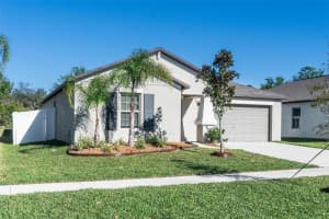 13355 WILLOW BLUESTAR LOOP, RIVERVIEW, FL 33579 Sold 08/22/25