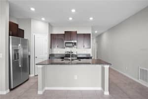 13355 WILLOW BLUESTAR LOOP, RIVERVIEW, FL 33579 Sold 08/22/25