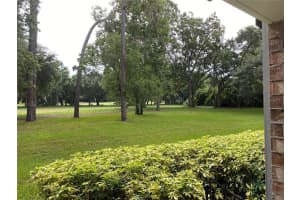 36750 US HIGHWAY 19 N #19-115, PALM HARBOR, FL 34684 - MLS#MFRTB8362286