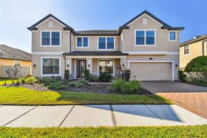 19432 Whispering Brook Dr, TAMPA