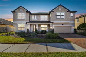 19432 WHISPERING BROOK DRIVE, TAMPA, FL 33647 - MLS#MFRTB8362313