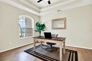 22647 EAGLES WATCH DRIVE, LAND O LAKES, FL 34639 Sold 09/12/25