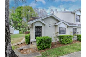 5100 BURCHETTE ROAD, TAMPA, FL 33647 - MLS#MFRTB8362385